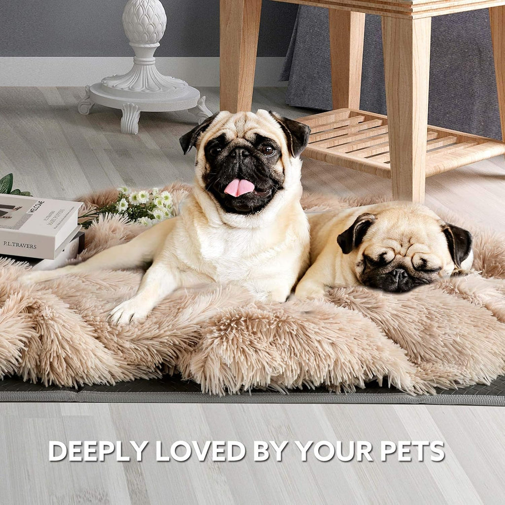 Decorative Soft Fluffy Faux Fur Throw Blanket 50" X 60",Reversible Long Shaggy Cozy Furry Blanket,Comfy Microfiber Accent Chic Plush Fuzzy Blanket for Sofa/Couch/Bed,Breathable & Washable,Beige