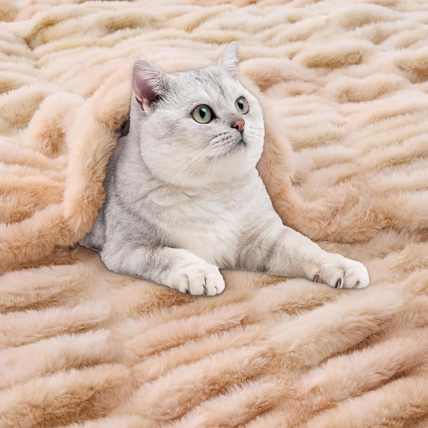 Faux Fur Throw Blanket for Bed Couch Sofa - Soft Cozy Furry Warm Throw - Comfy Shaggy Blanket - Machine Washable - Beige Fuzzy Plush Throw - 50"× 60"